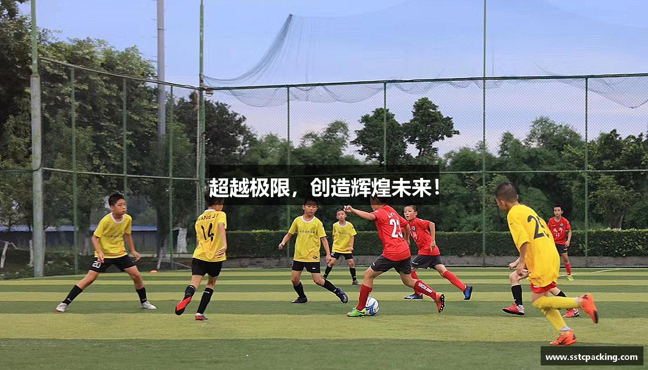 超越极限，创造辉煌未来！